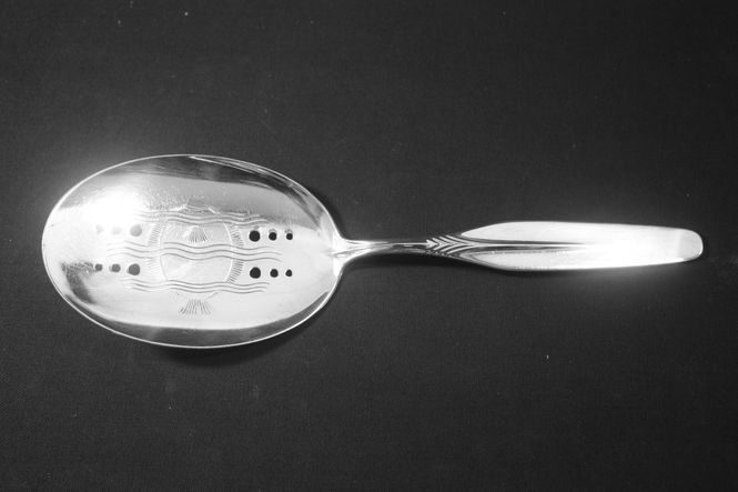 Hovedbilde Ny Linje fiskespade