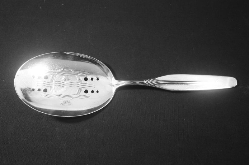 Ny Linje fiskespade